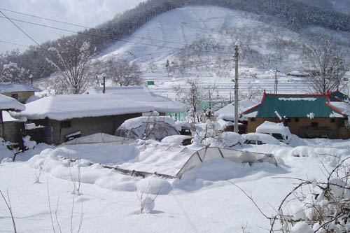 옆집 할머니네 비닐하우스가 주저앉았습니다. 